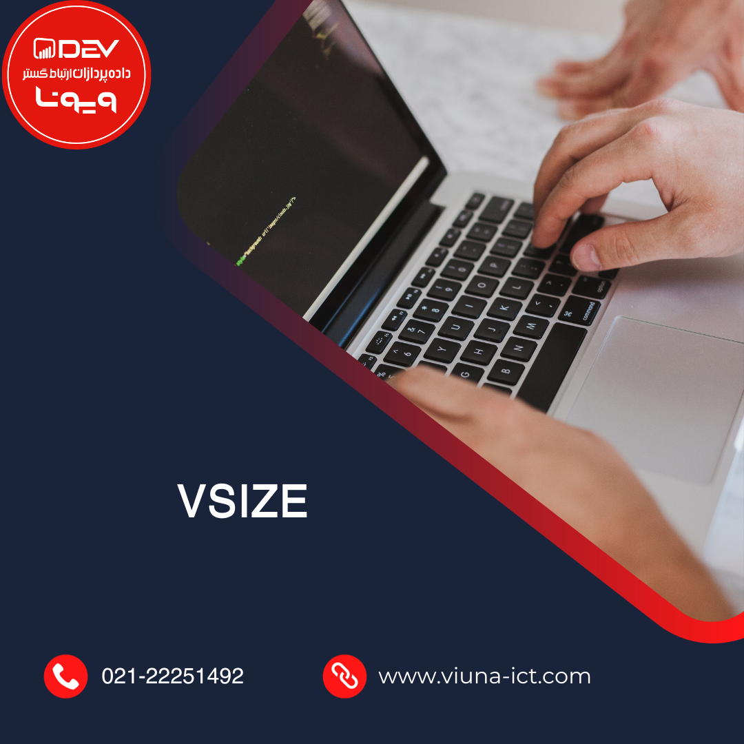 VSIZE